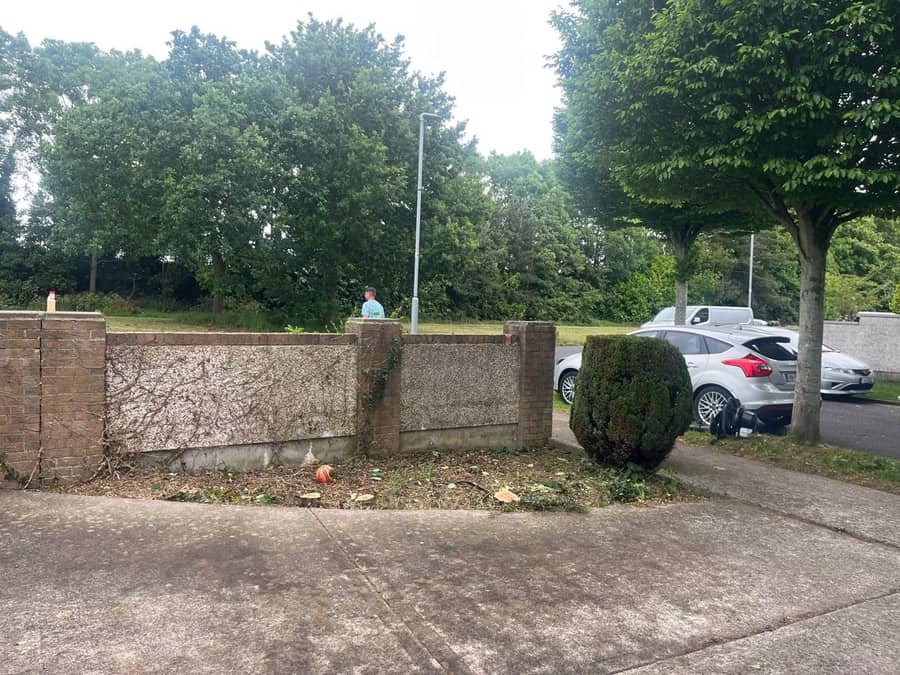 Garden clearance