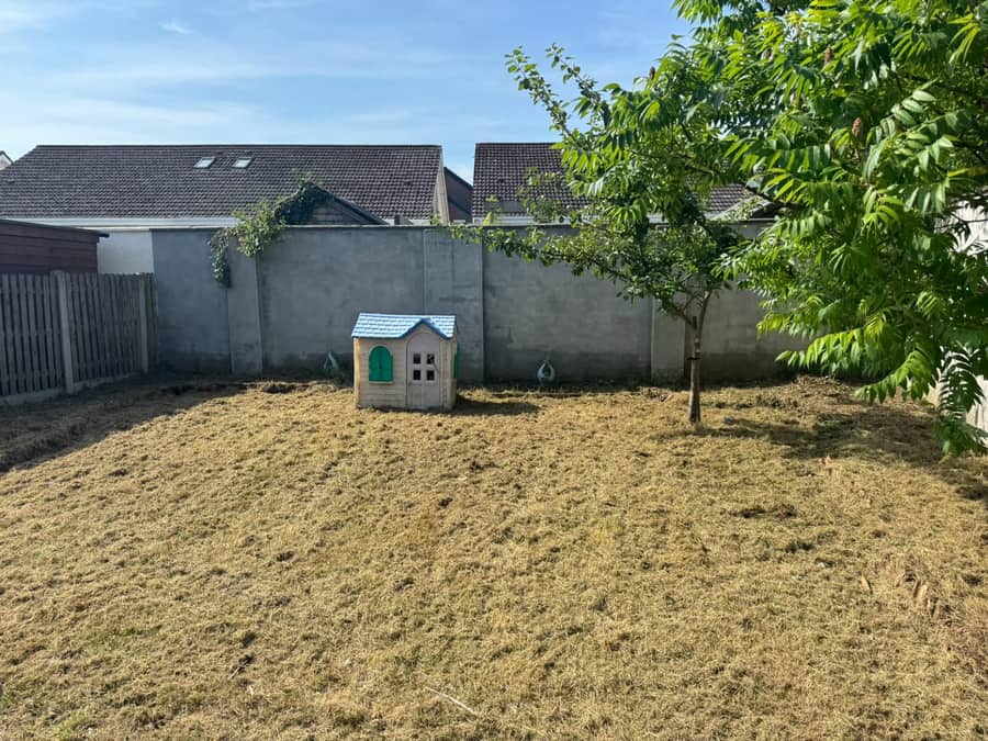 Garden clearance project