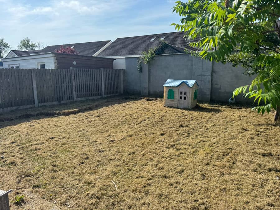 Hedge and shrub trimming
