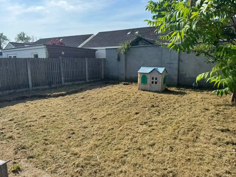 Hedge and shrub trimming