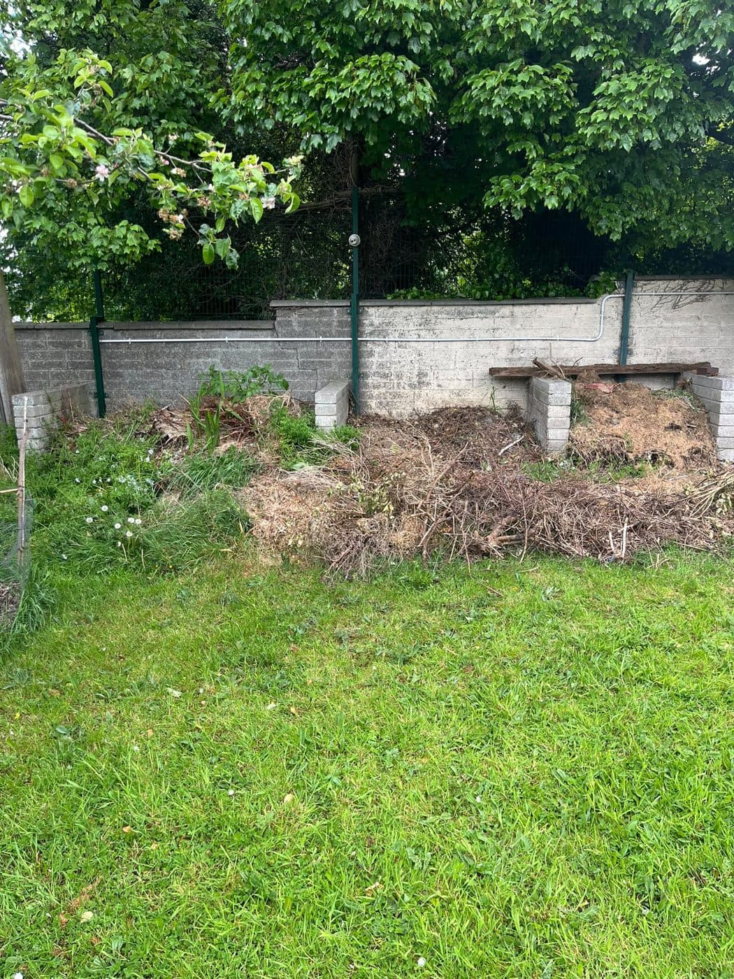 Garden before clearance