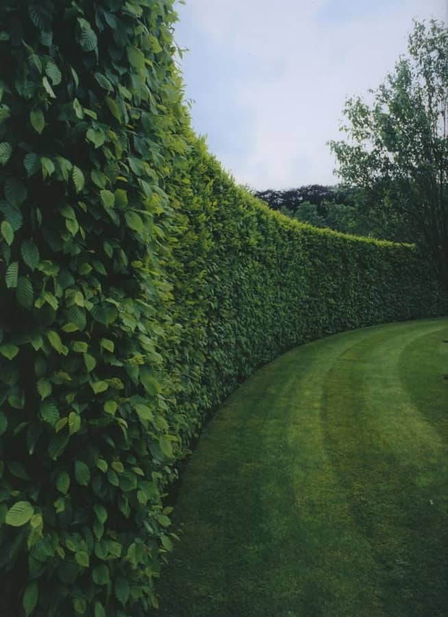 Garden design detail