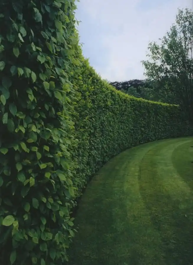 Garden design detail