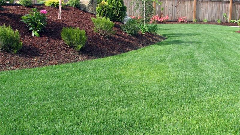 Lawn care