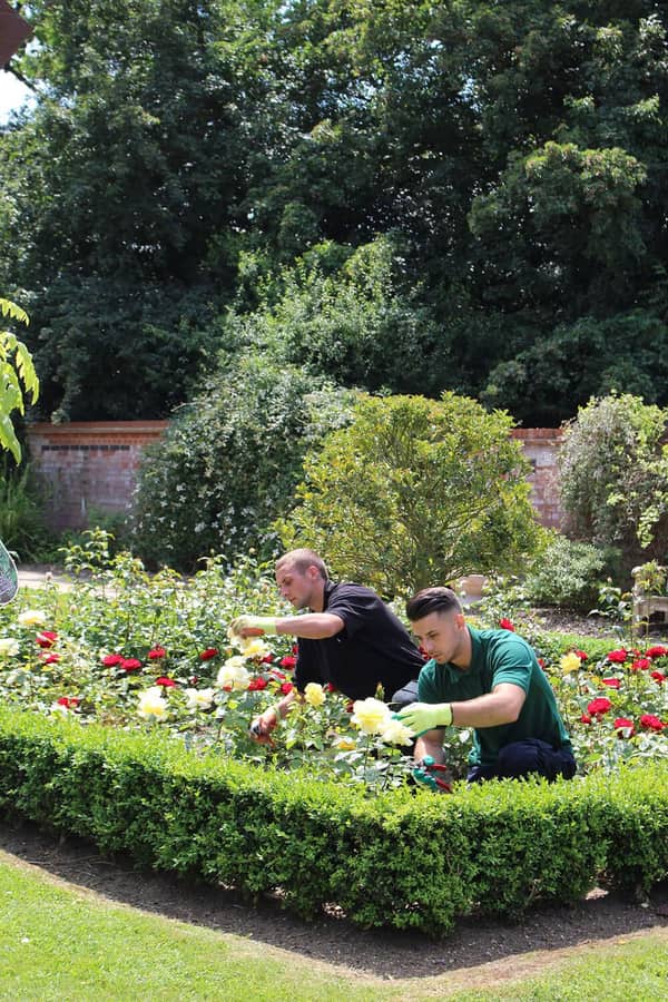 Lawn maintenance
