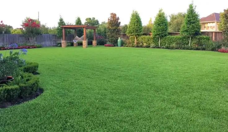 Tree and garden work