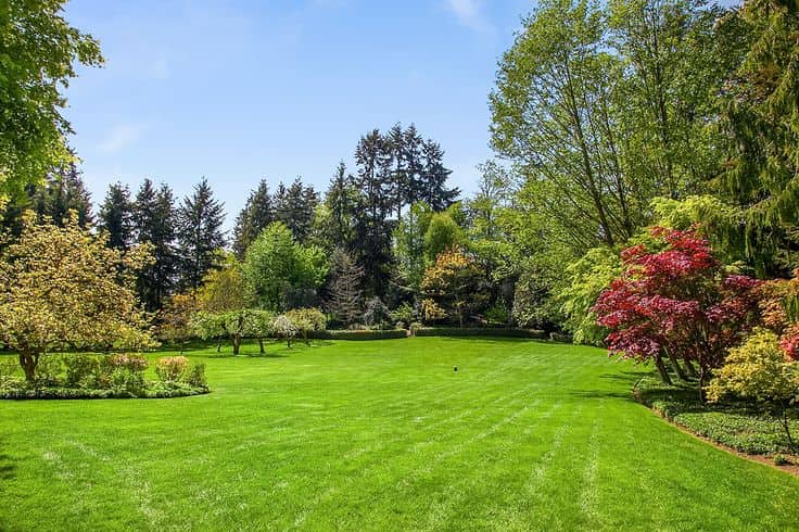 Garden landscaping with trees