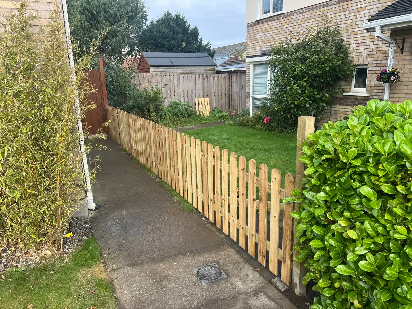 Newly installed timber picket fence along a garden path