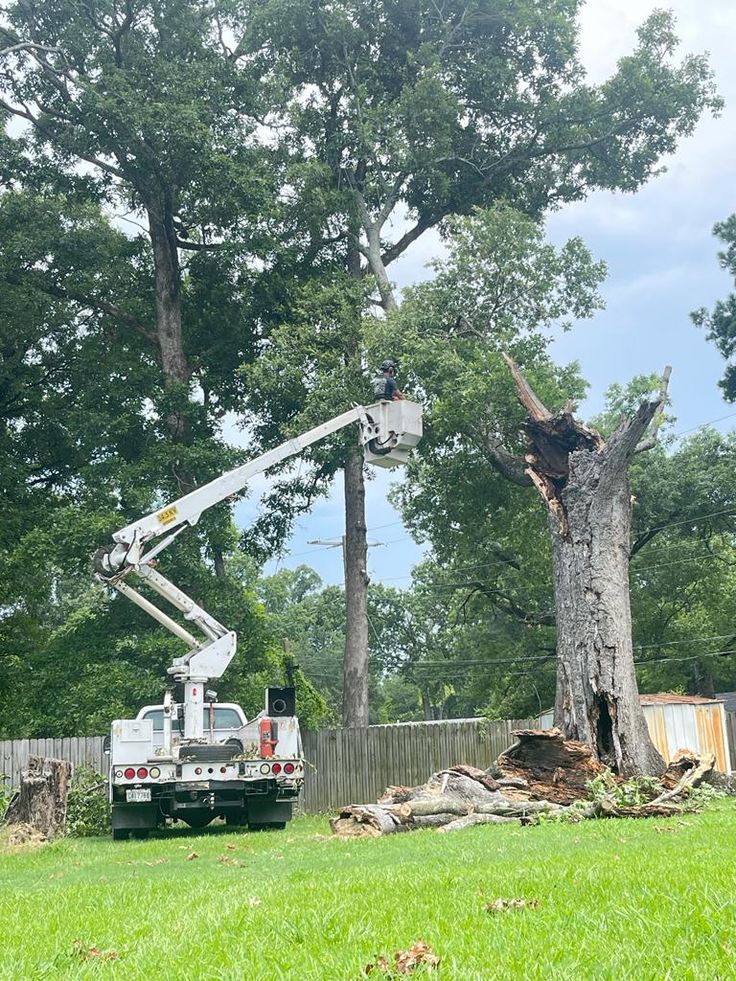 Bucket truck removing a large storm-damaged tree